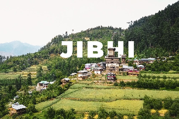 Jibhi